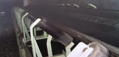  DTII、DTII (A)型通用固定式輸送機(jī)